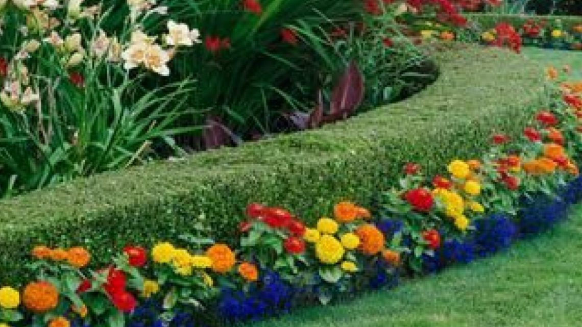 10 façons simples de nettoyer votre jardin au printemps