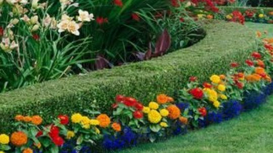 10 façons simples de nettoyer votre jardin au printemps