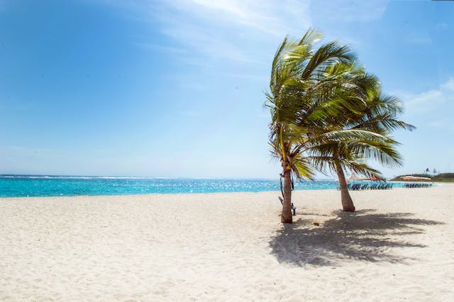 Nos 5 conseils pratiques pour un voyage réussi en Guadeloupe