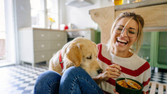 Alimentation, soins et jeux : comment prendre soin de votre chien au quotidien ?