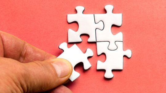 Les thèmes les plus populaires pour un puzzle adulte passionnant