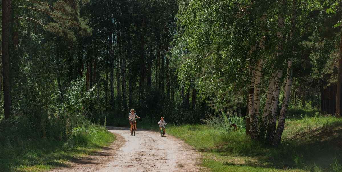 Chemin de terre dans une forêt, deux personnes en marchant, soleil filtrant à travers les arbres