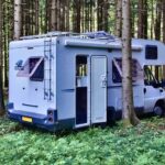 Camping-car blanc stationné dans une clairière forestière entre sapins densément plantés