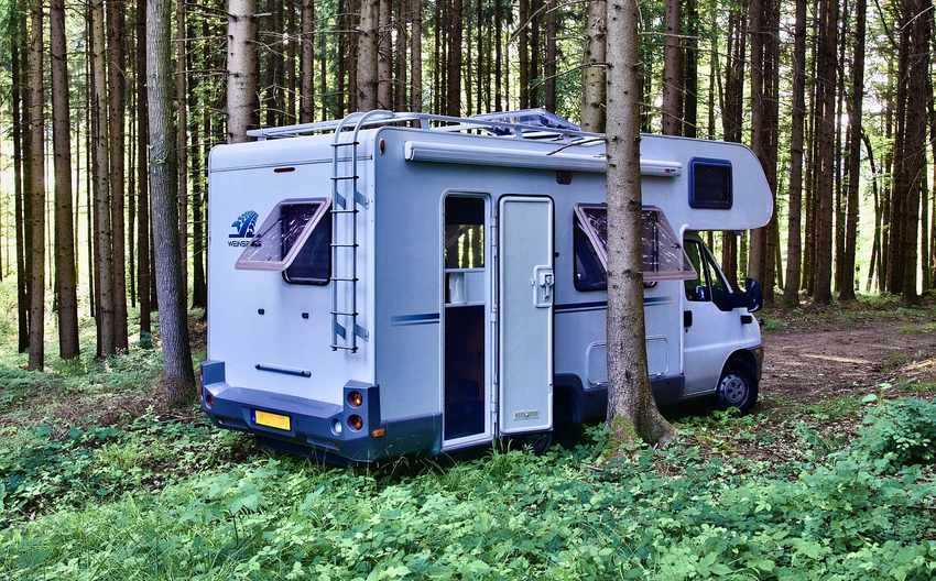 Camping-car blanc stationné dans une clairière forestière entre sapins densément plantés