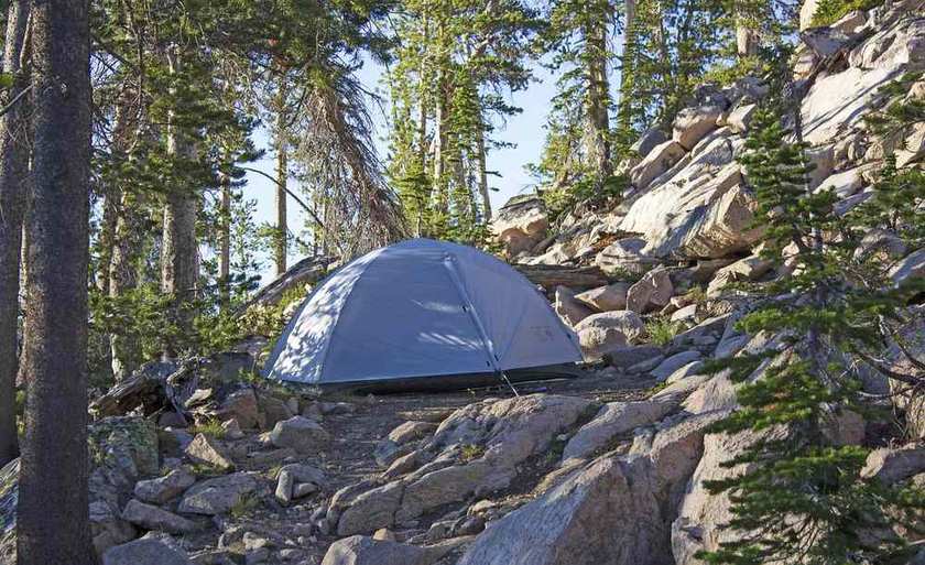 Tente de camping bleue dressée sur des rochers entre des arbres de forêt
