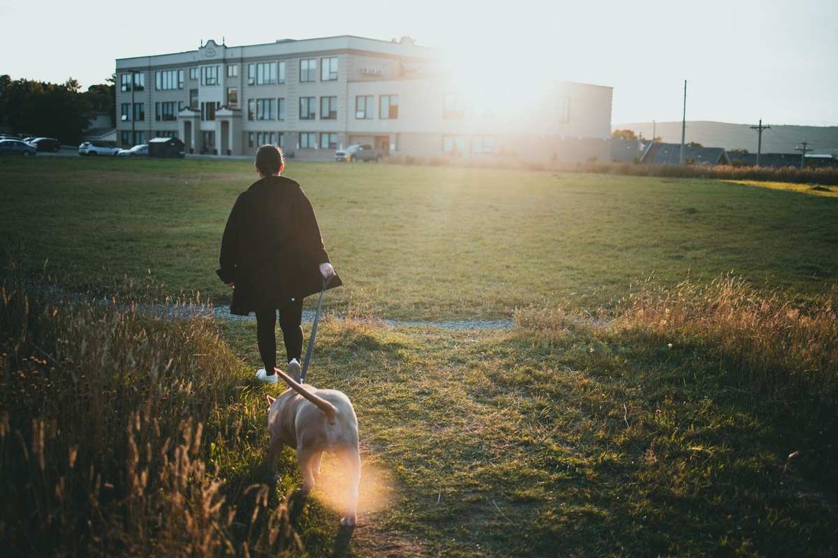 Personne et chien marchant dans un champ avec un bâtiment en arrière-plan