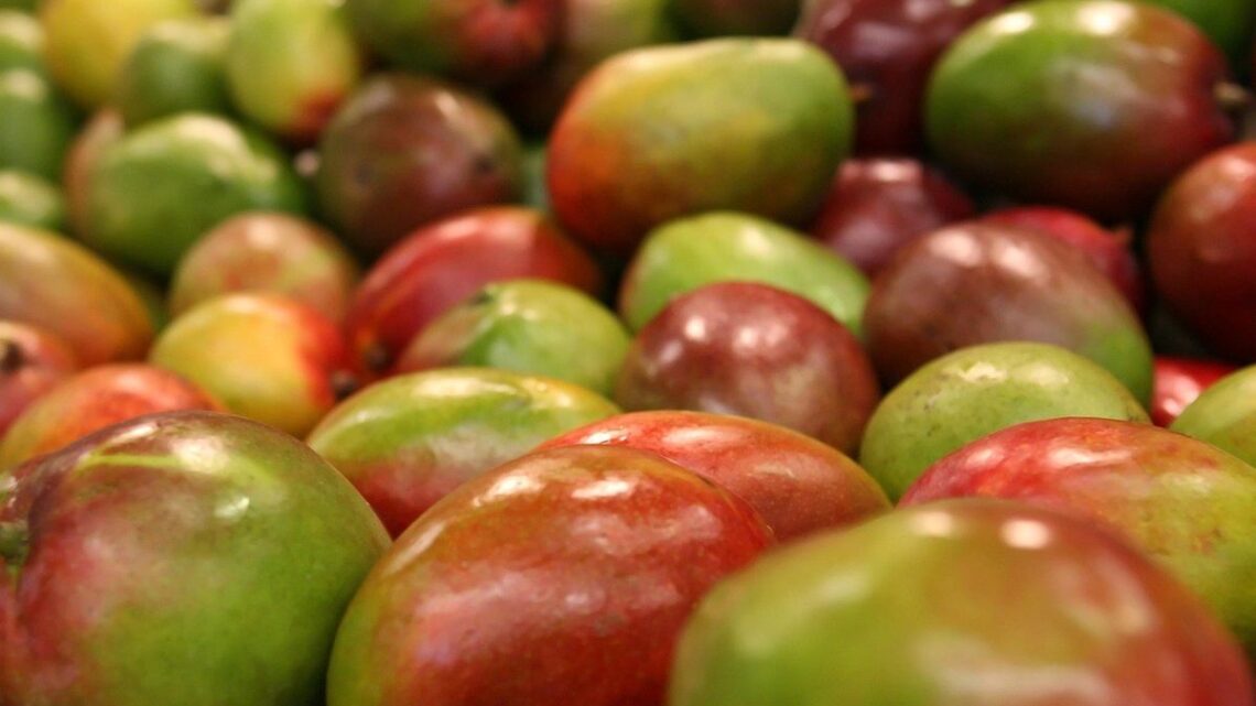 Marchés de producteurs : repérer les vrais terroirs