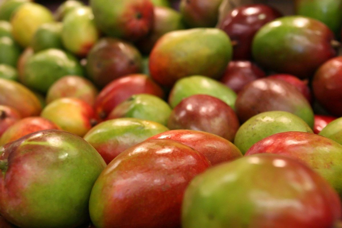 Pommes vertes et rouges, sur une table, sans activité spécifique