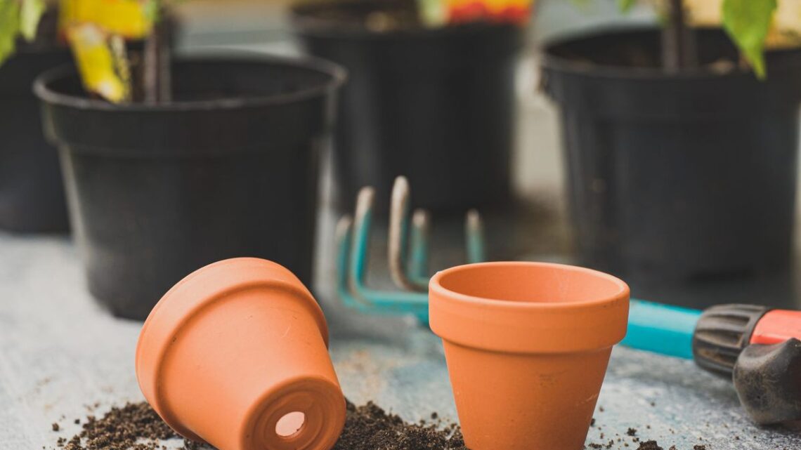Protéger le matériel de jardin avant les gelées