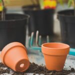 Protéger son matériel de jardin avant les premières gelées sans tout abîmer