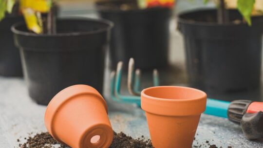 Protéger le matériel de jardin avant les gelées