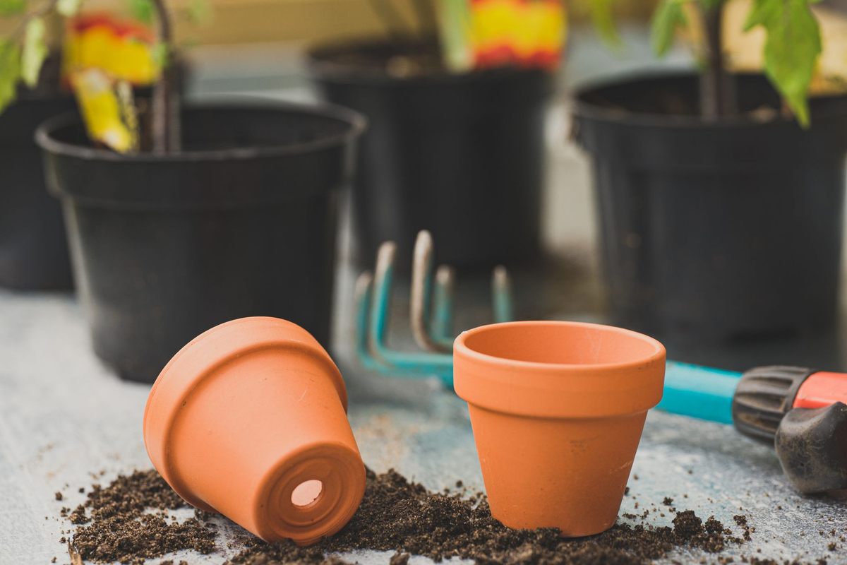 Protéger son matériel de jardin avant les premières gelées sans tout abîmer