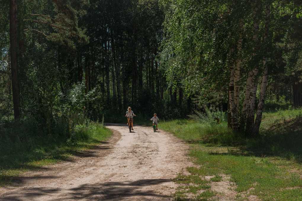 Chemin de terre dans une forêt avec deux personnes marchant sous les rayons du soleil