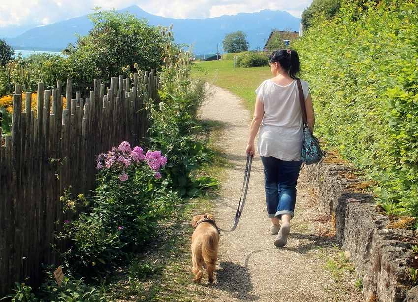 Une femme marche avec son chien sur un chemin de terre Une femme marche avec son chien sur un chemin de terre